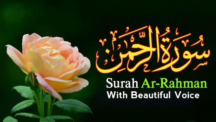 Online Quran Recitation Course with Beautiful Melody and Precision